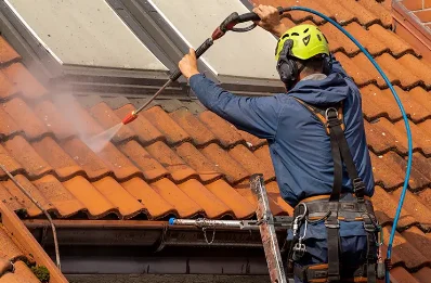 Démoussage et hydrofuge de toiture à Orieux
